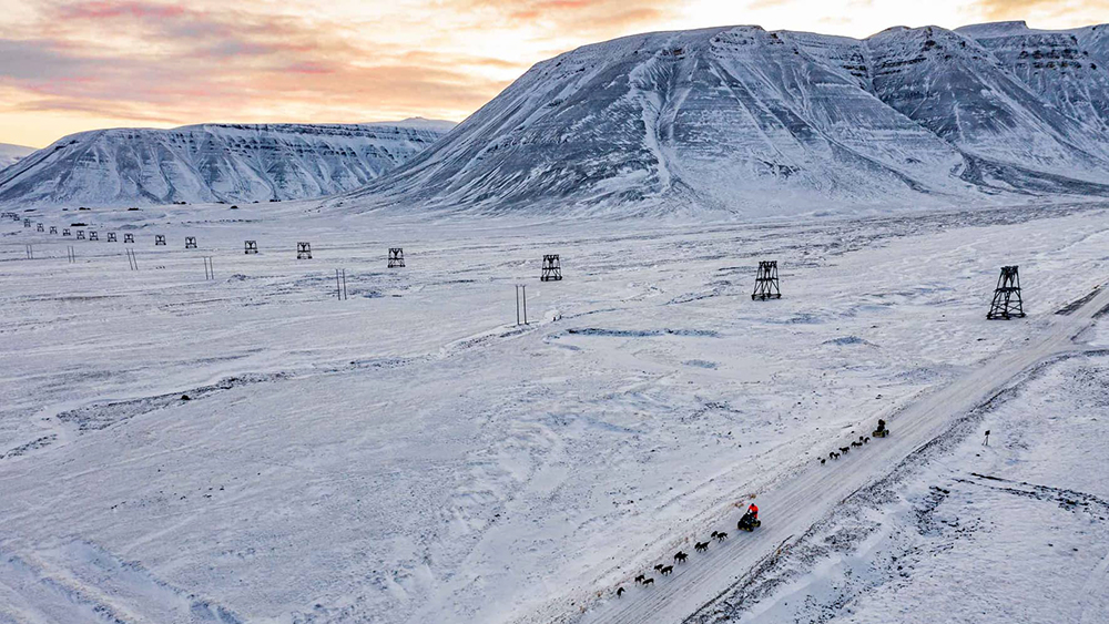 Doglsedding on wheels in Svalbard
