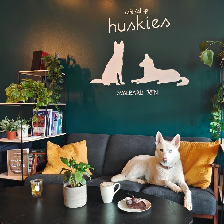 Husky Cafe