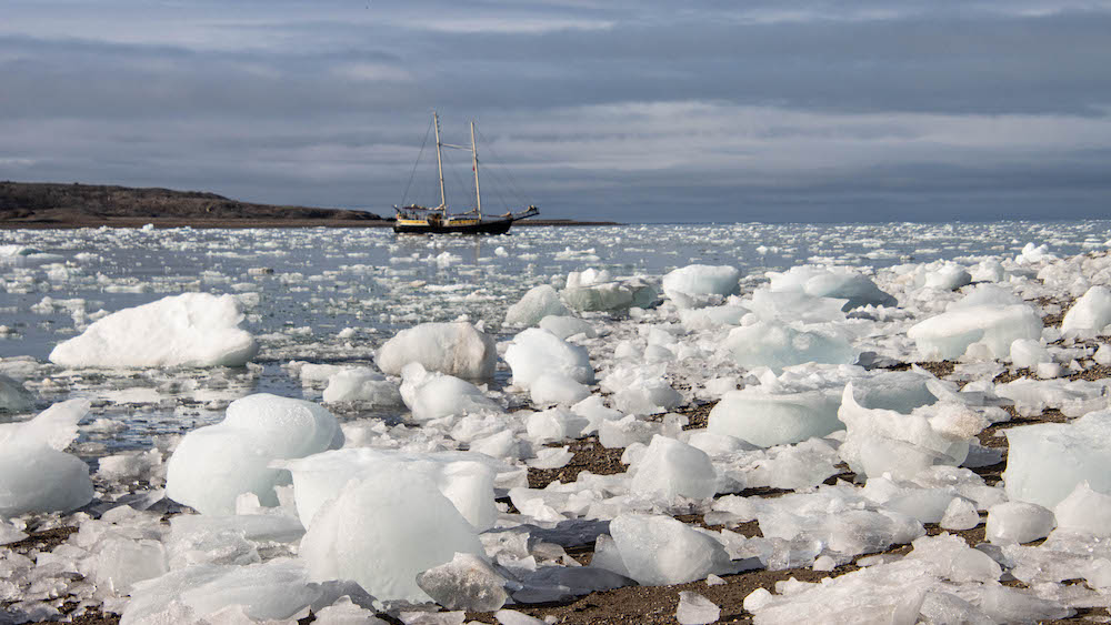 The sailing ship SV Meander with a beach covered by glacial ice in the foreground.
