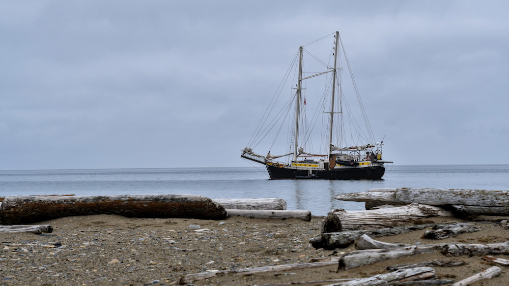 Das Segelschiff Meander vor einem Strand mit Treibholz 
