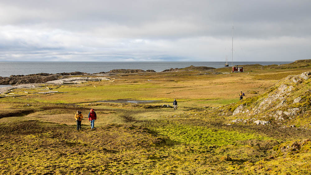 Several people walking in a green meadow on Svalbard