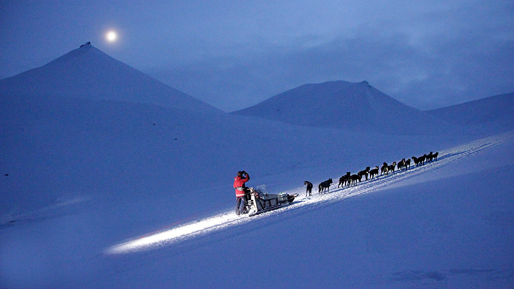 On the way with dogslede