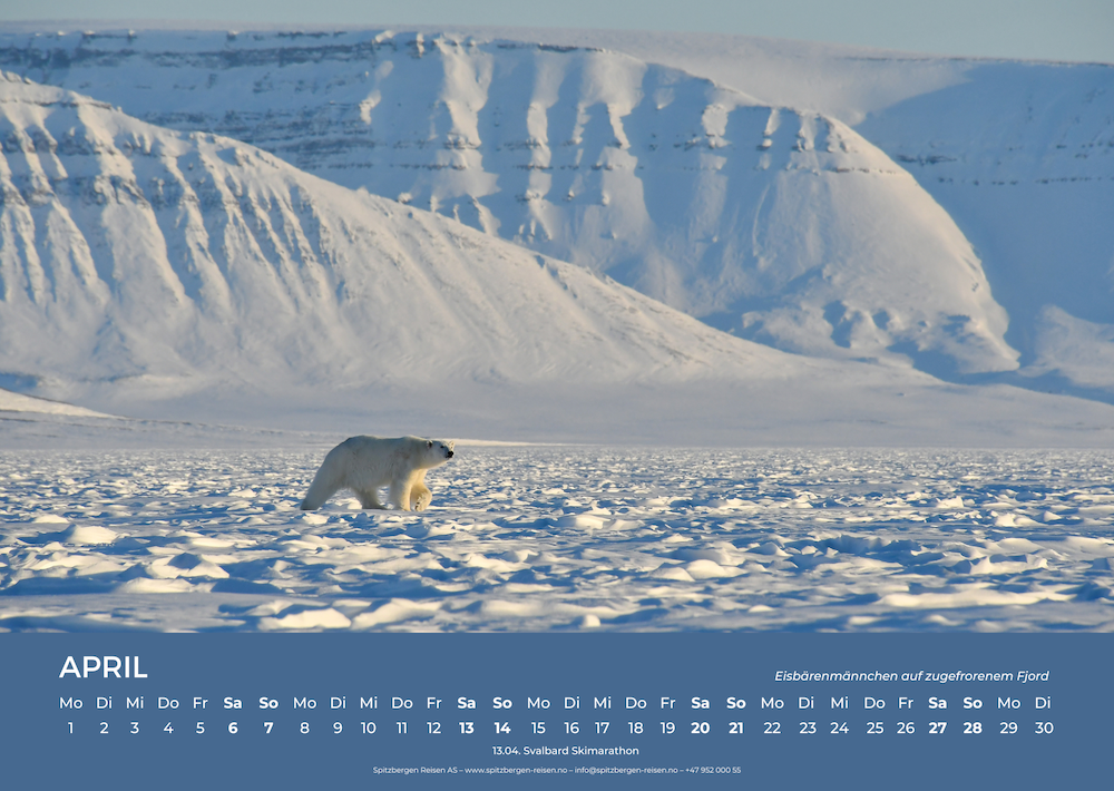 Svalbard Wall Calendar 2024 April Sheet