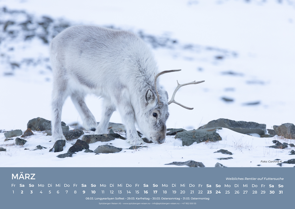 Spitzbergen Wandkalender 2024 März