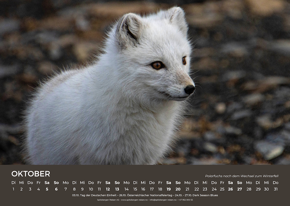 Svalbard Wall Calendar 2024 October